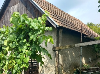 properties